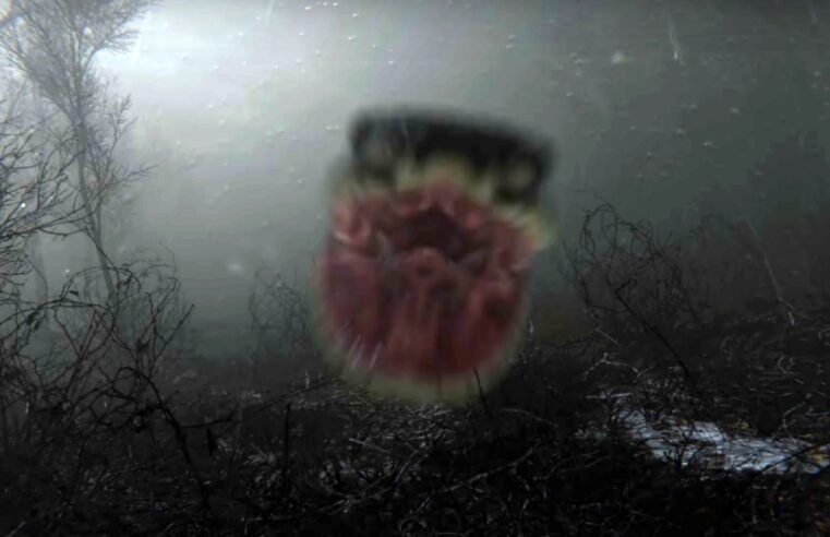 Digested: conheça jogo de terror hiper-realista em que você precisa fugir de cobra gigante