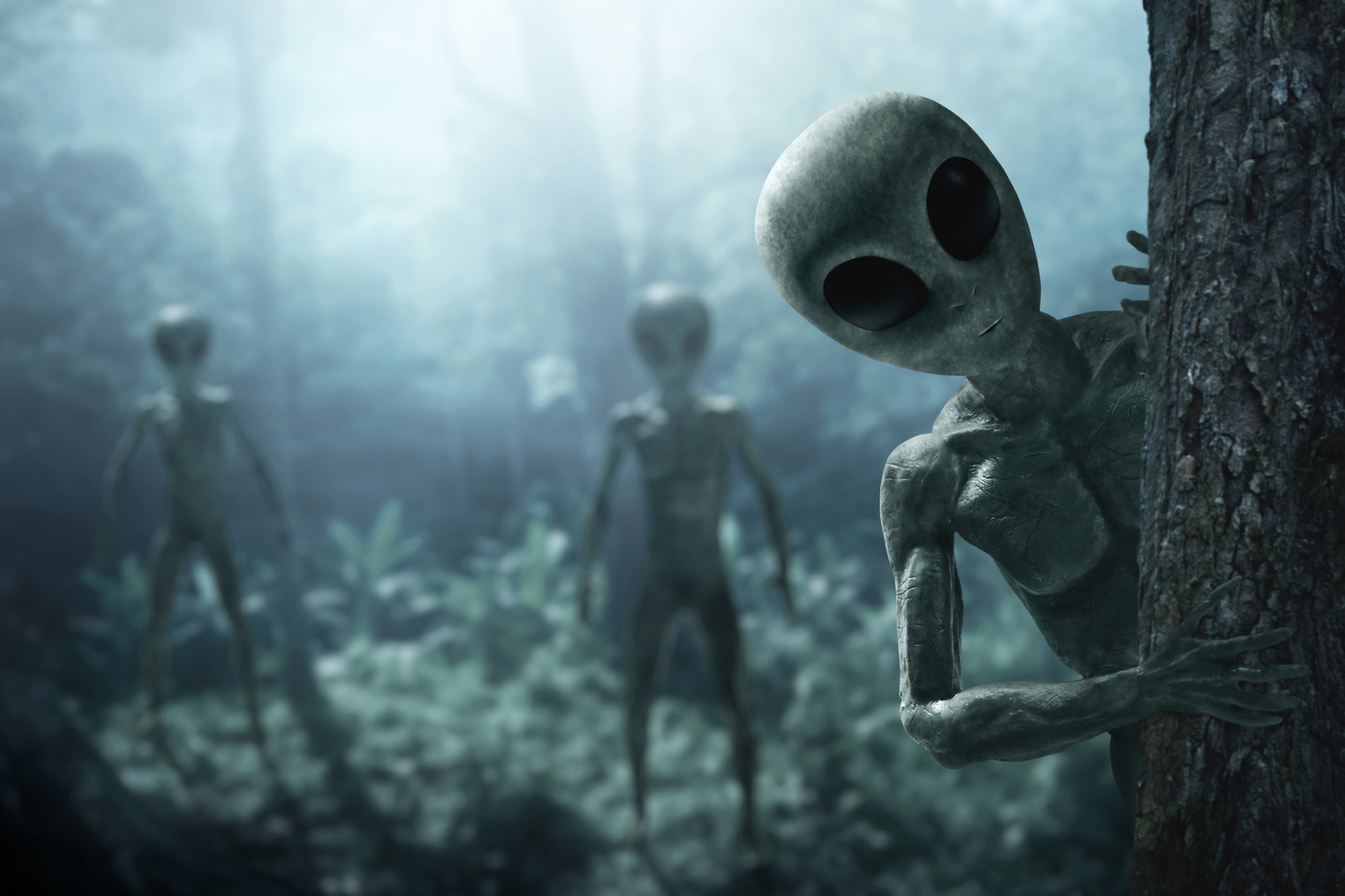 O contato com civilizações extraterrestres traria riscos para a humanidade?