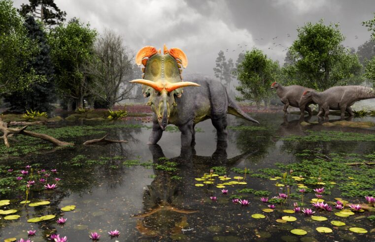 Lokiceratops: dinossauro ‘chifrudo’ é batizado em homenagem a vilão da Marvel