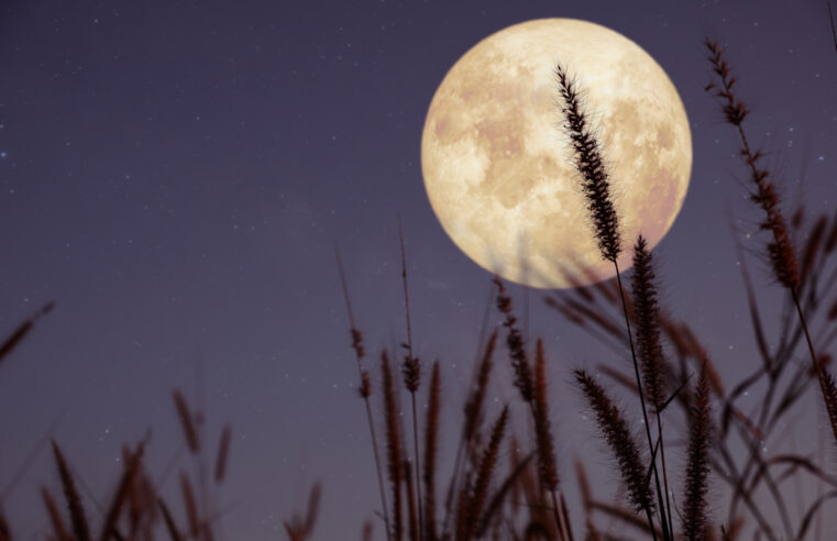 #AstroMiniBR: conheça o fenômeno da “paralisação lunar”!