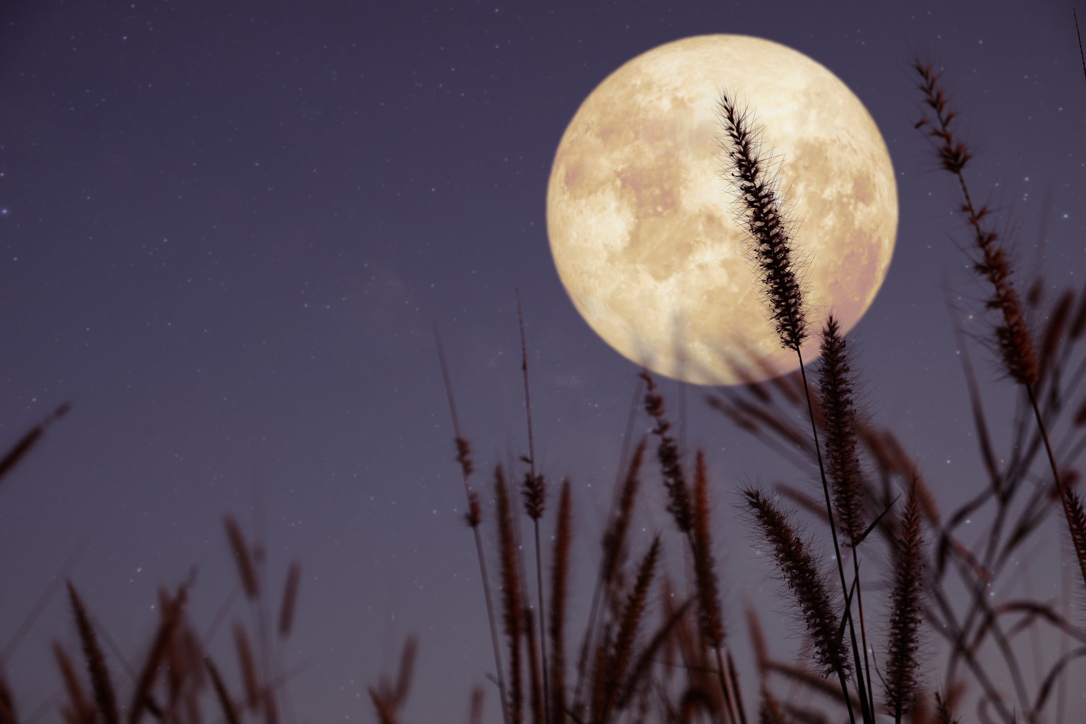 #AstroMiniBR: conheça o fenômeno da “paralisação lunar”!