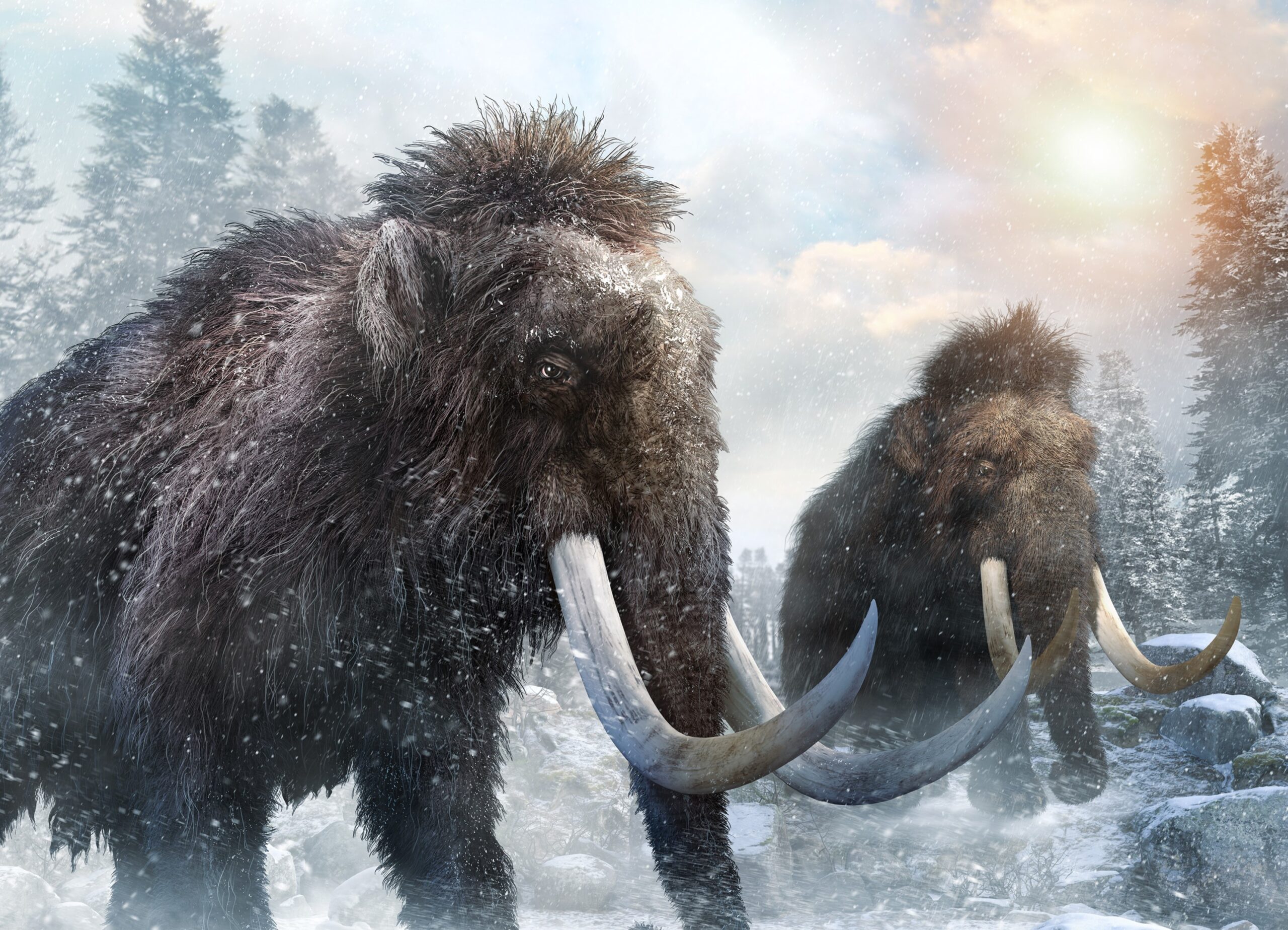 Cientistas reconstroem os cromossomos em 3D de mamute de 52 mil anos