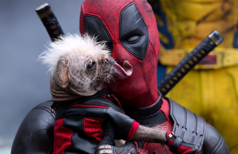 17 filmes (e 1 série) para ver e entender as piadas de Deadpool & Wolverine