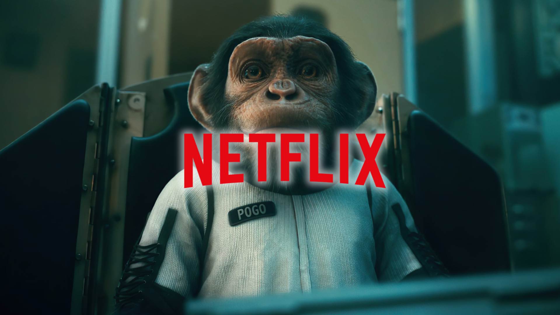 7 filmes e séries em alta na Netflix para ver no fim de semana