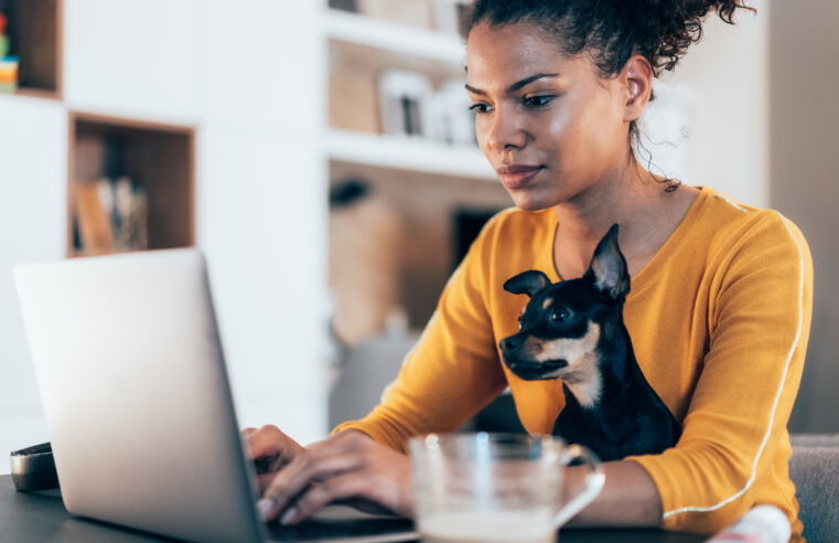 Home office: 151 vagas para trabalho remoto [09/08]