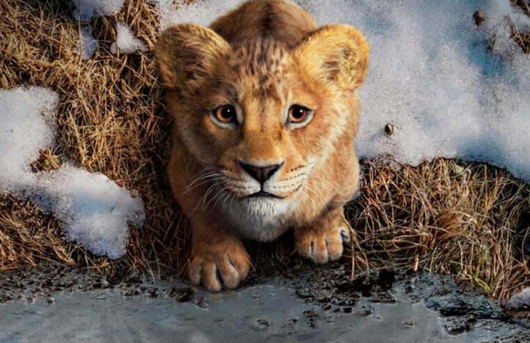 Mufasa O Rei Leão: veja trailer, data de lançamento e tudo sobre o filme