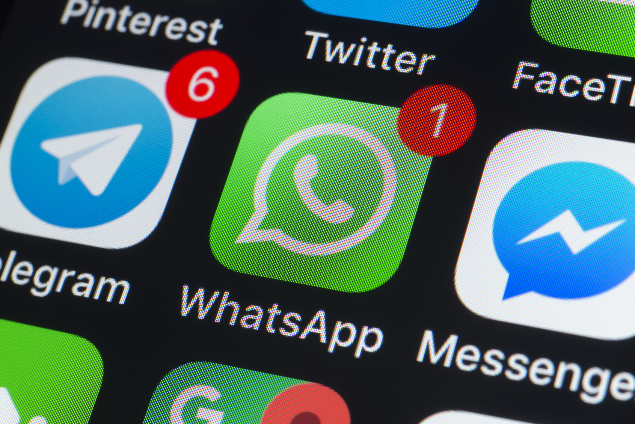 Agência do governo federal quer abandonar WhatsApp na comunicação interna