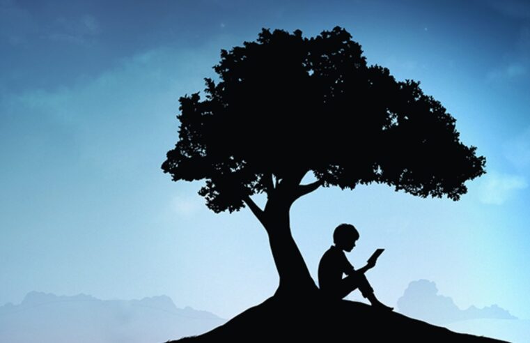 Por que não é possível comprar ebooks no app do Kindle no Android e iOS?