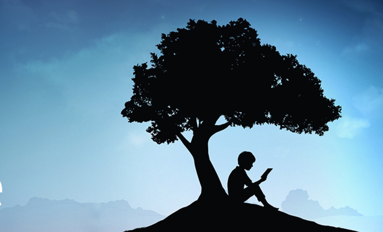 Por que não é possível comprar ebooks no app do Kindle no Android e iOS?