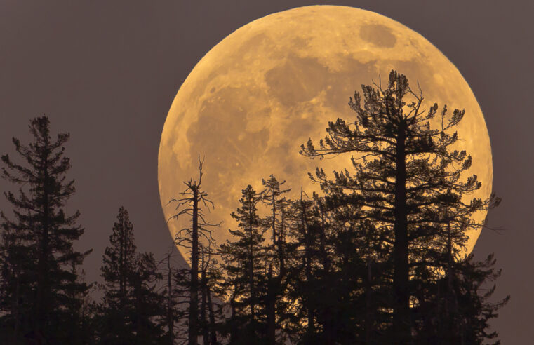 Superlua e a melhor chuva de meteoros do ano iluminam o céu de agosto