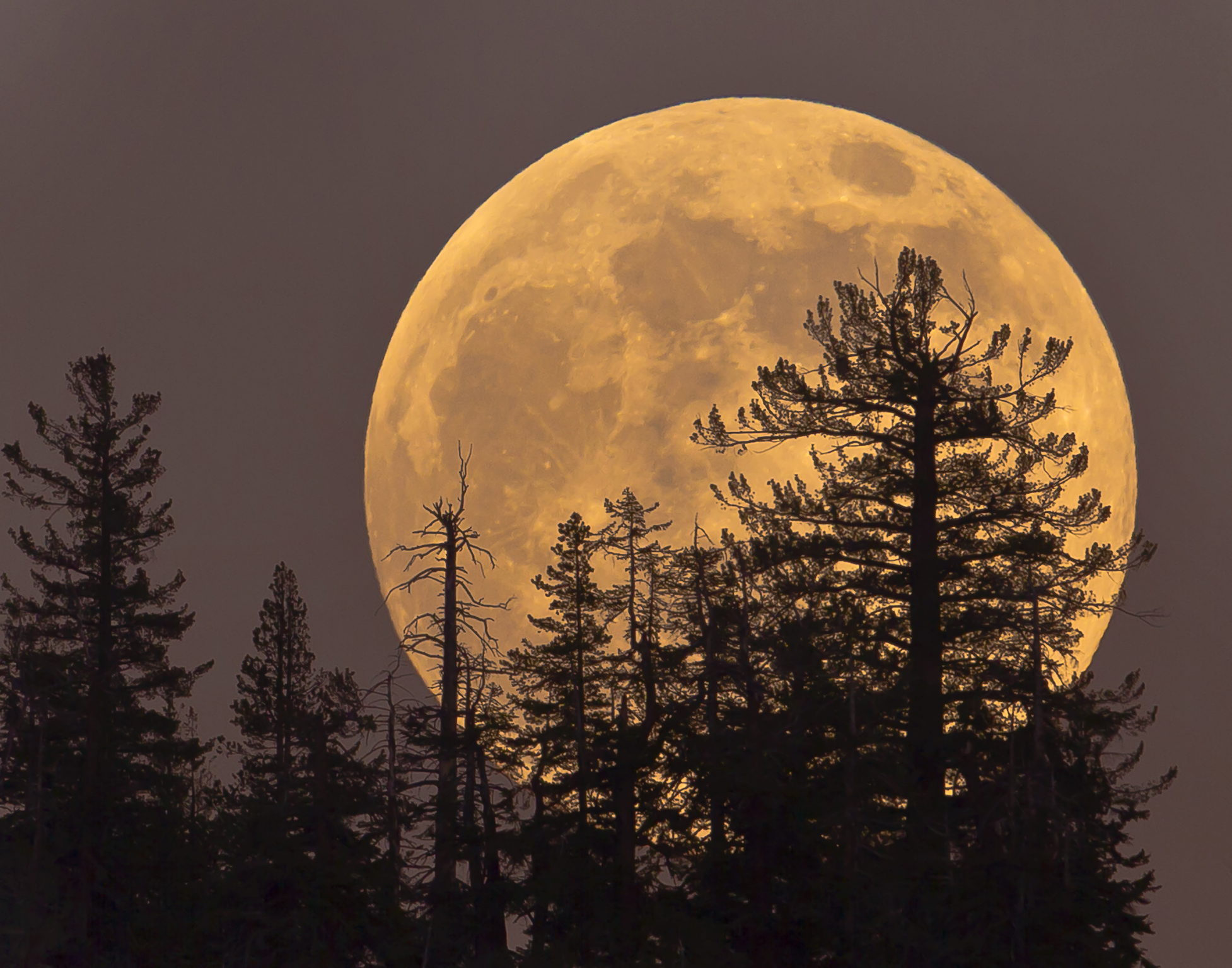 Superlua e a melhor chuva de meteoros do ano iluminam o céu de agosto