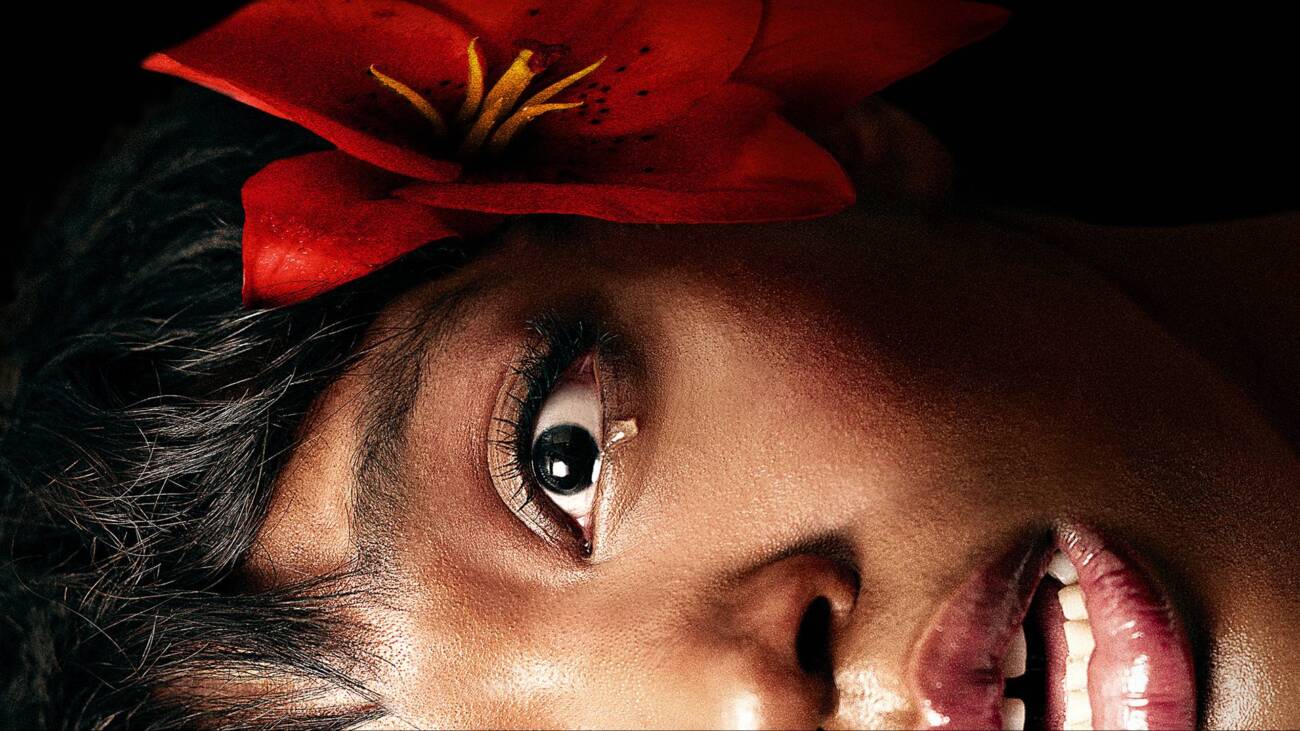 Novo thriller psicológico está bombando com a crítica! Conheça Pisque Duas Vezes