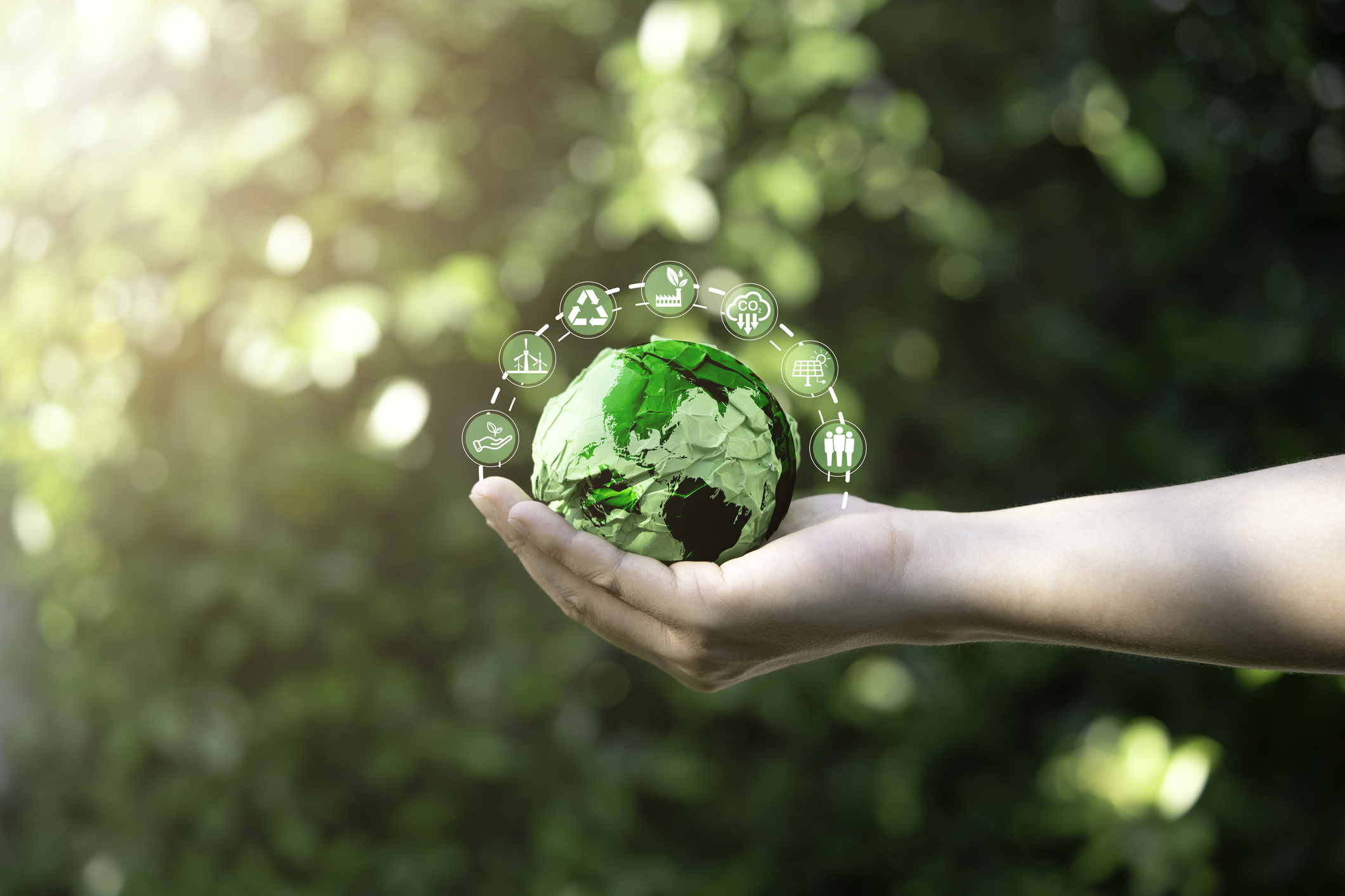 ‘Go Green with Taiwan’: campanha sustentável oferece prêmios de US$ 20 mil