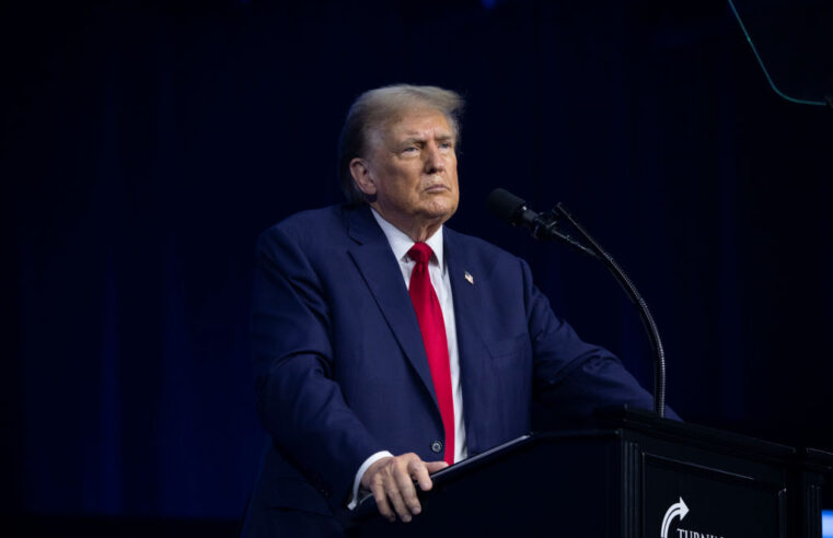 Donald Trump quer Elon Musk liderando comissão caso vença eleição nos EUA