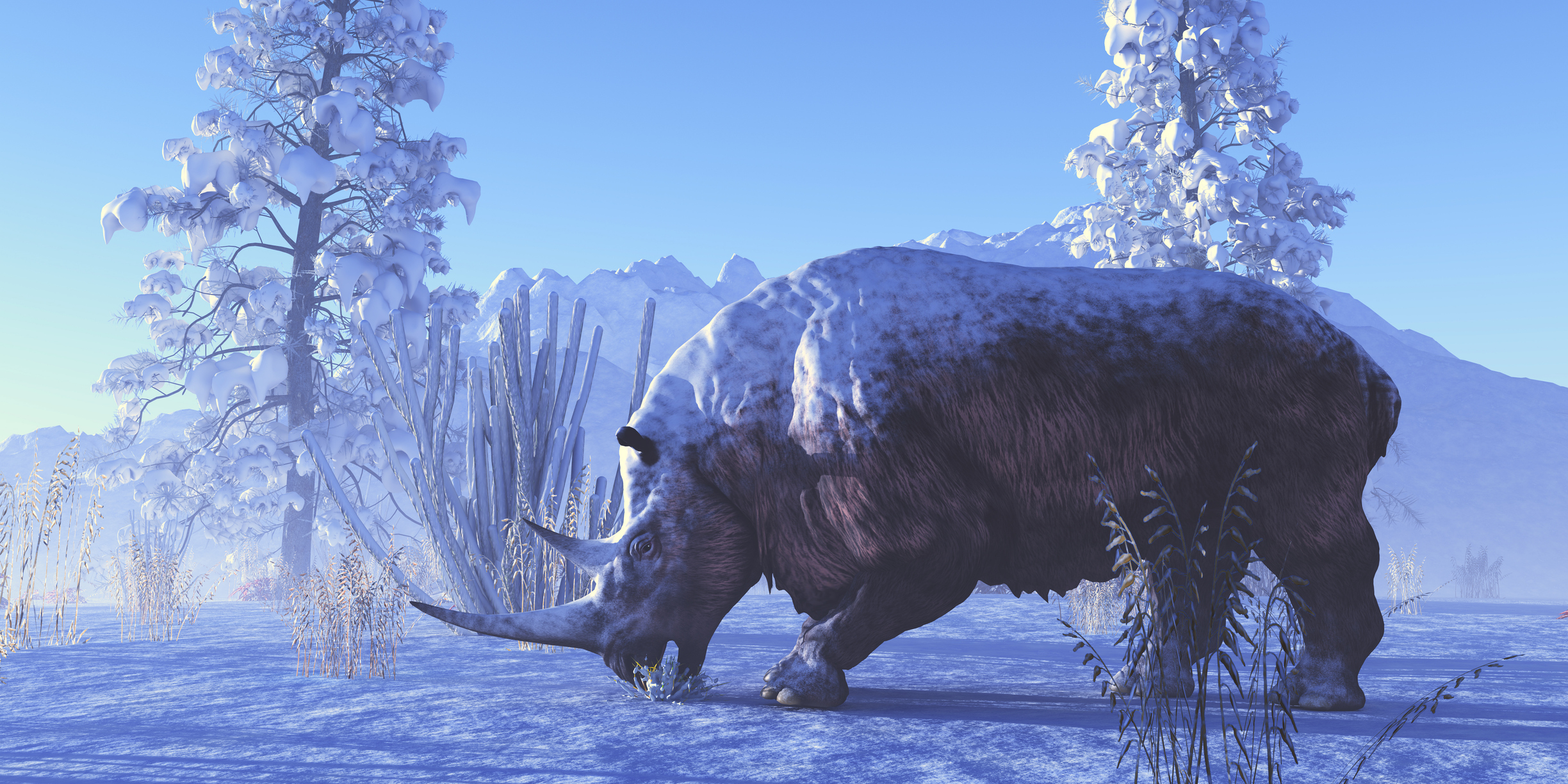 Múmia intacta de rinoceronte-lanoso de 32,4 mil anos é descoberta na Rússia