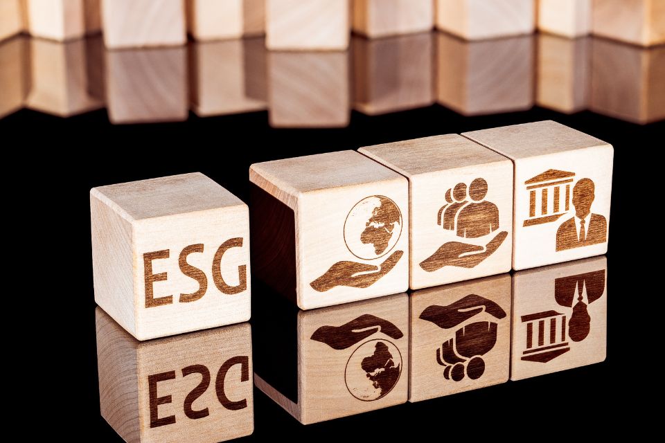 7 cursos de ESG para quem deseja se aprofundar em sustentabilidade corporativa