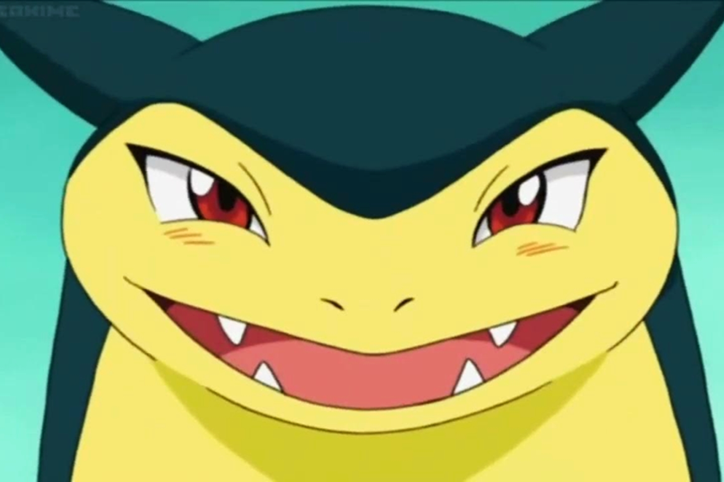 Pokémon Typhlosion viraliza por motivo bizarro envolvendo vazamento da Game Freak! Entenda