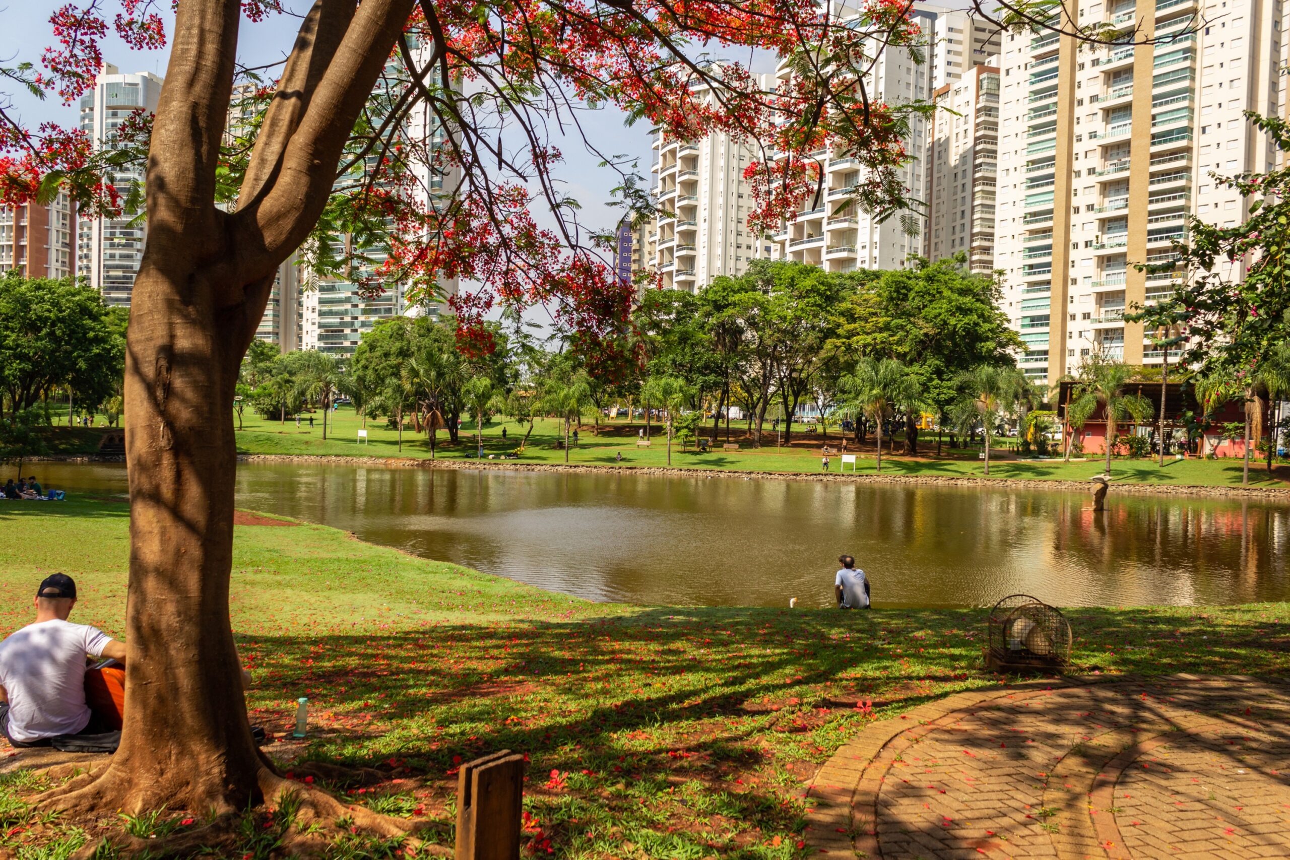 Brasil não terá horário de verão em 2024, anuncia governo