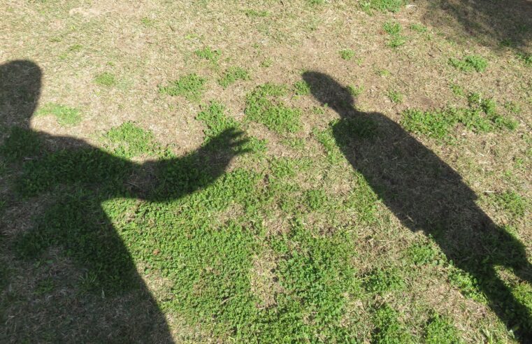 Telegram: mais de 1 milhão de usuários compartilham pornografia infantil, diz relatório