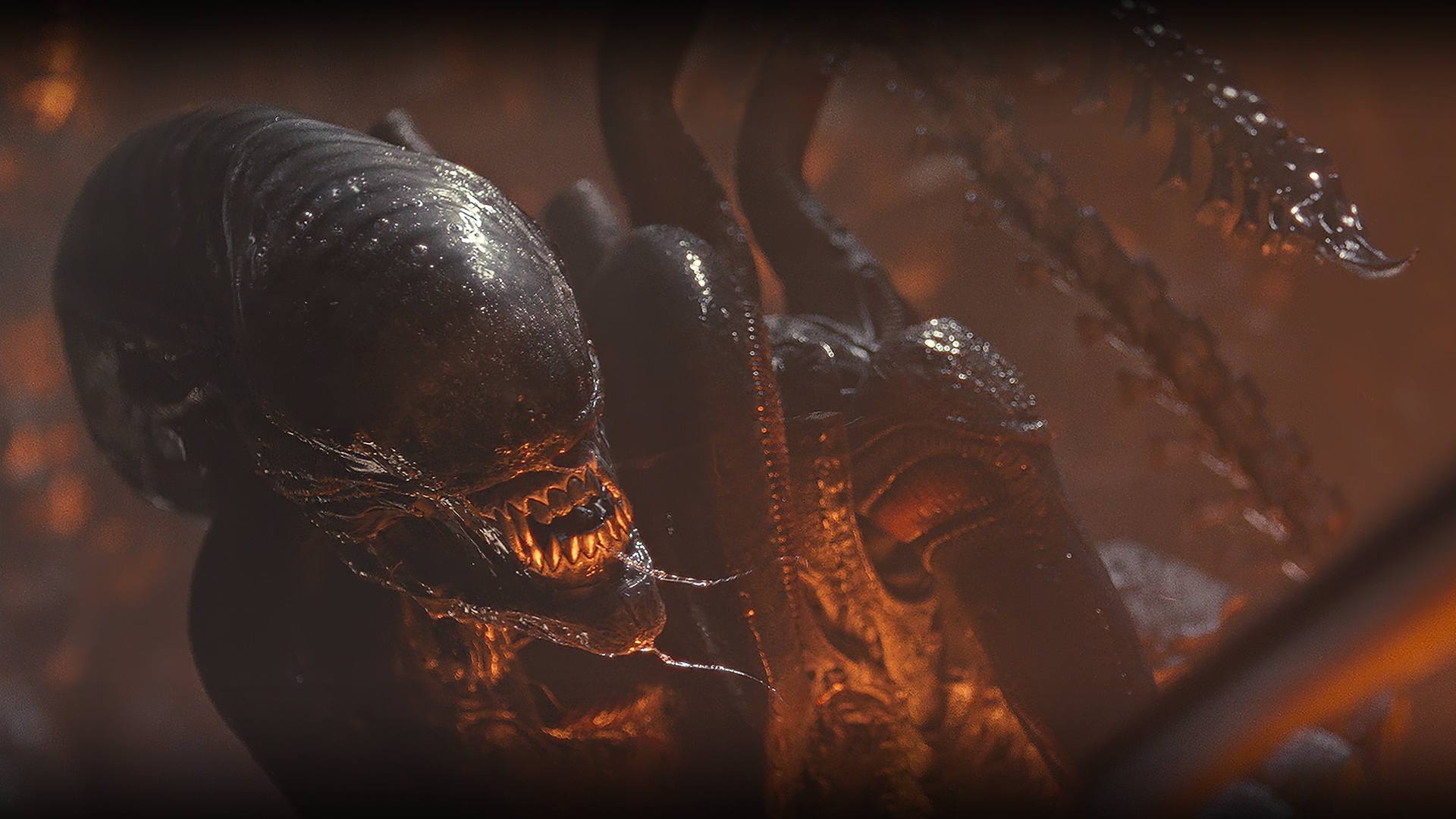 Alien Romulus é o filme mais pirateado da semana! Veja top 10