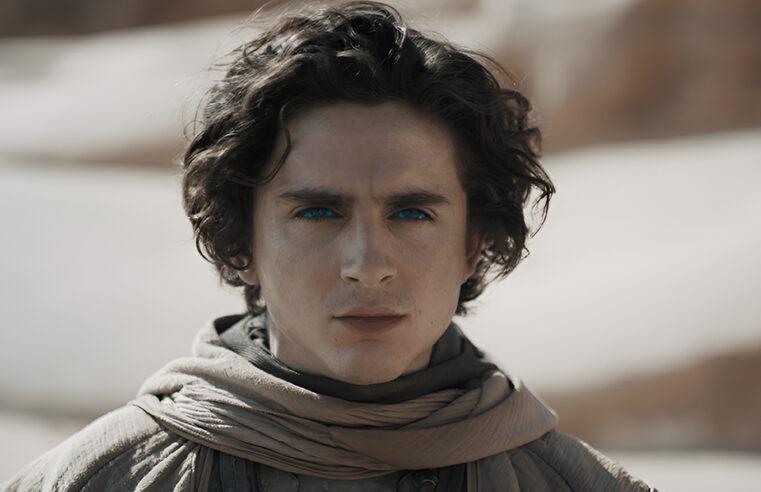 Concurso de sósias de Timothée Chalamet tem prisões e aparição especial do ator