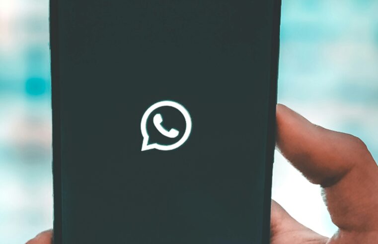 WhatsApp Beta prepara tema monocromático para personalizar app; veja como fica