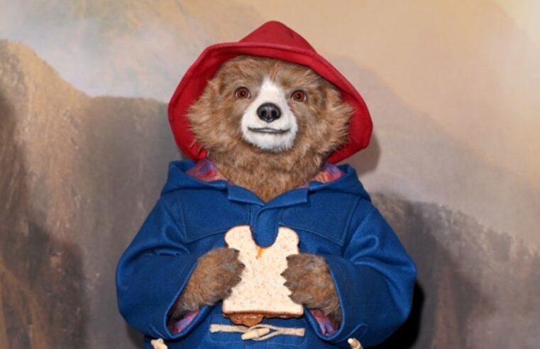 Google ganha easter egg com sanduíches do filme Paddington; veja como acessar