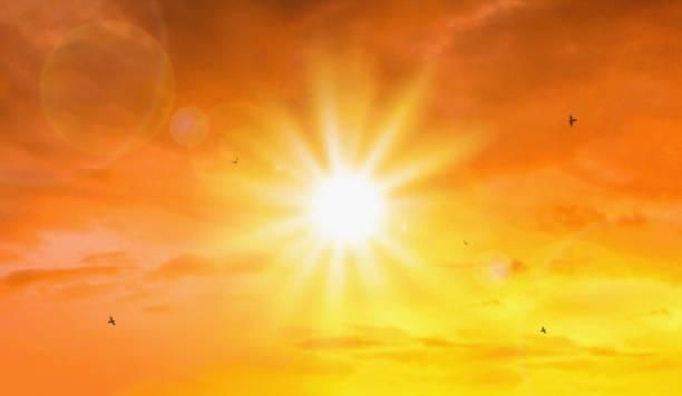 Crise Climática: 2024 poderá ser o ano mais quente de todos os tempos, segundo cientistas