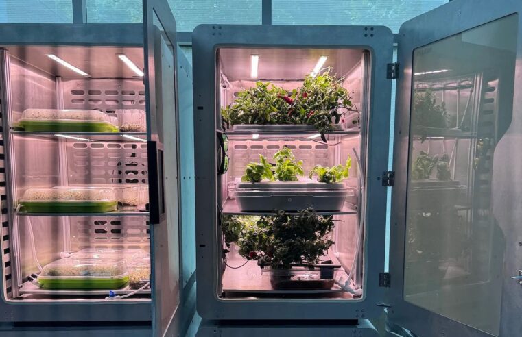 94% menos terra: descubra o que é a eletroagricultura
