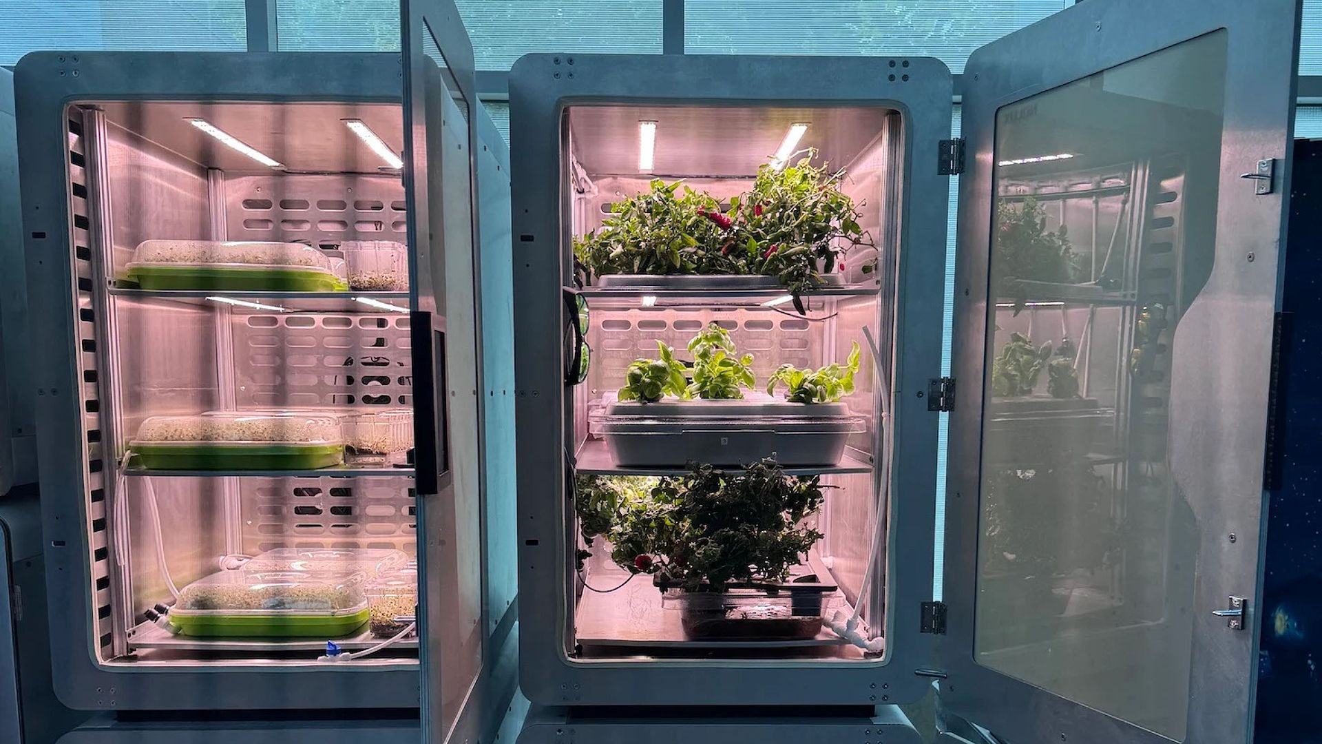 94% menos terra: descubra o que é a eletroagricultura