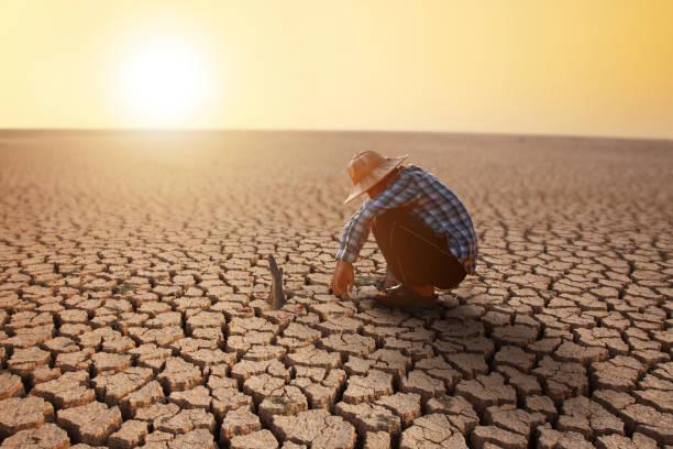 Limites planetários e o desafio da humanidade para evitar o colapso