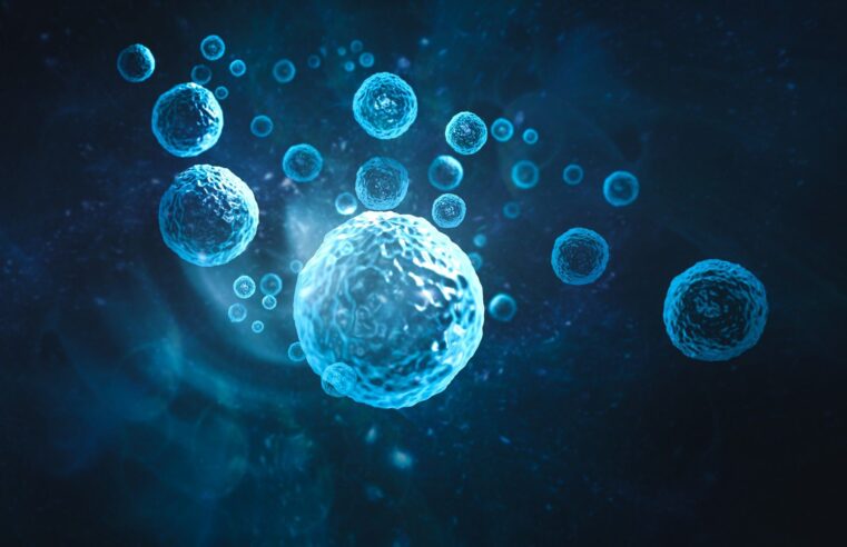 O papel da apoptose na vida e morte celular