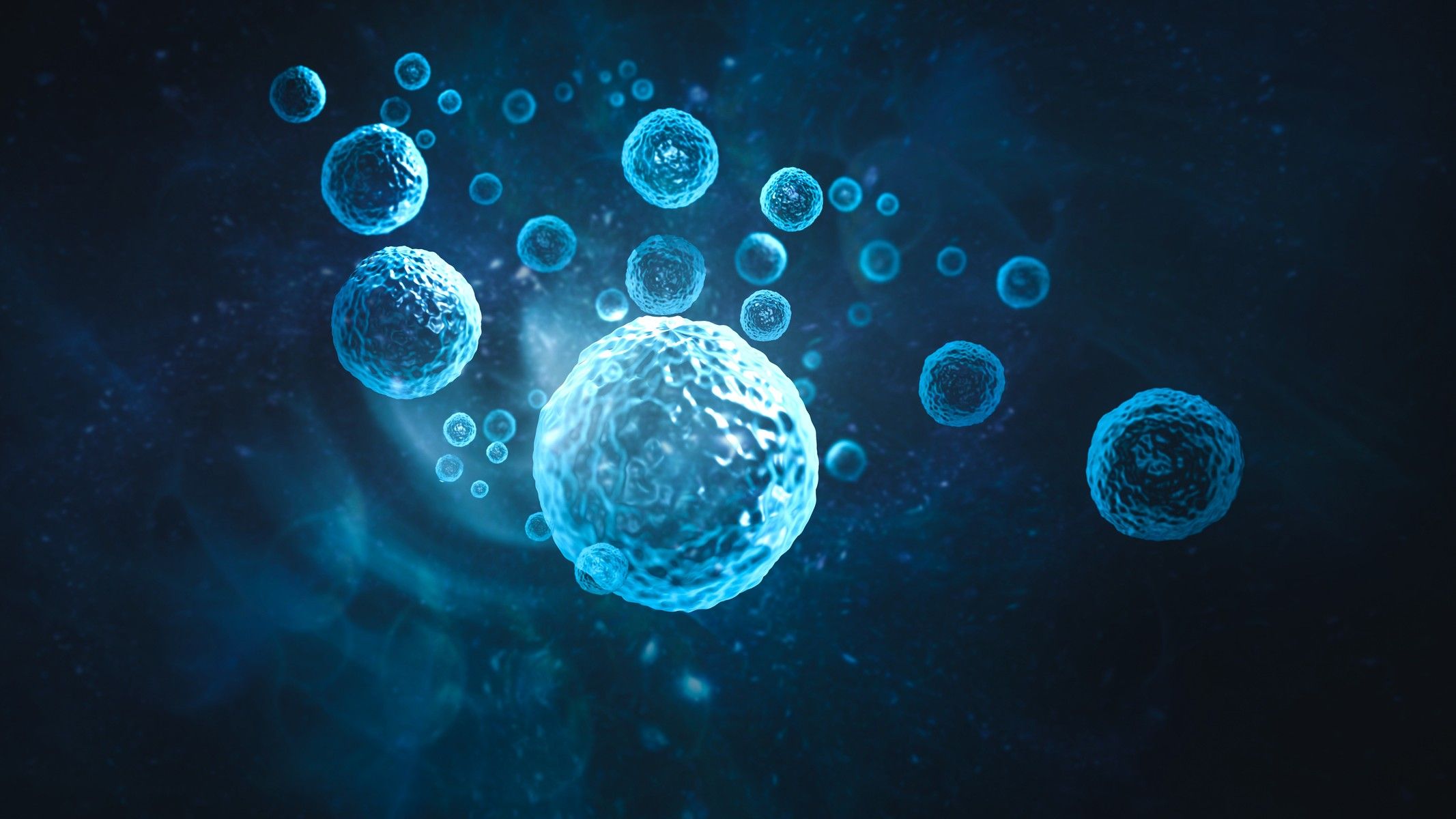 O papel da apoptose na vida e morte celular