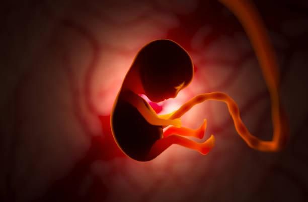 É possível modificar os genes antes do nascimento?