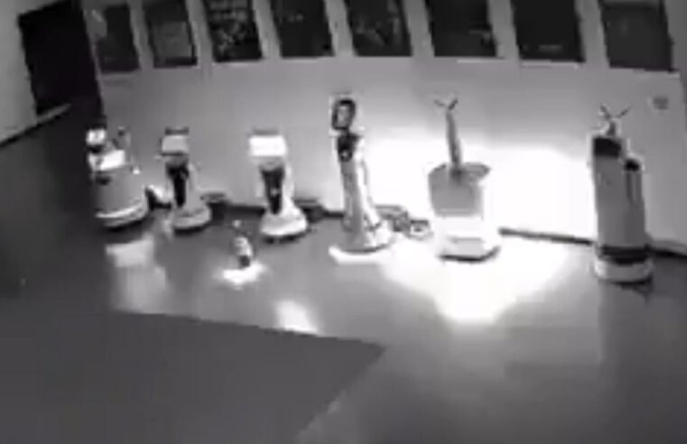 É verdade que um robô conversou e formou uma ‘rebelião’ com outros robôs na China? Entenda o viral