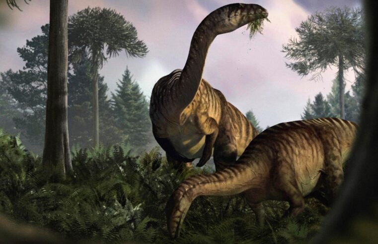 Cocô de dinossauro dá pistas de como esses répteis dominaram a Terra