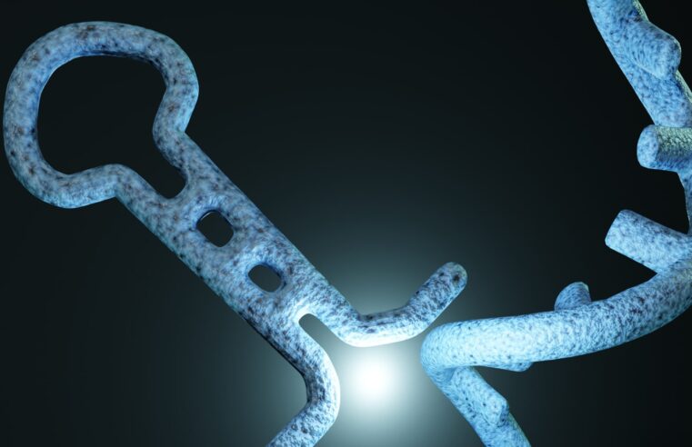 O que são microRNAs e por que eles são importantes?