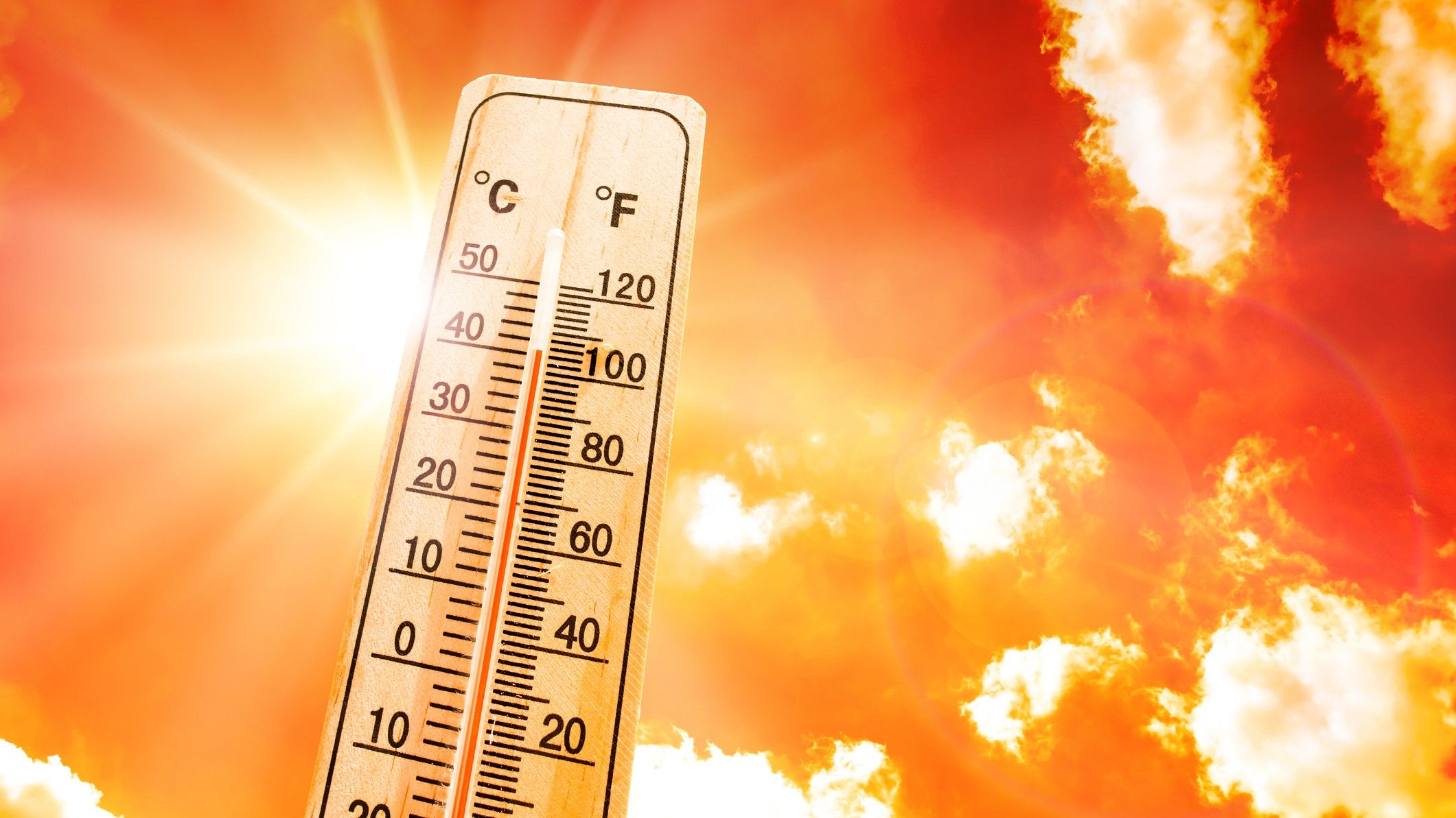 Ondas de calor mortais e inexplicáveis estão pipocando pelo planeta