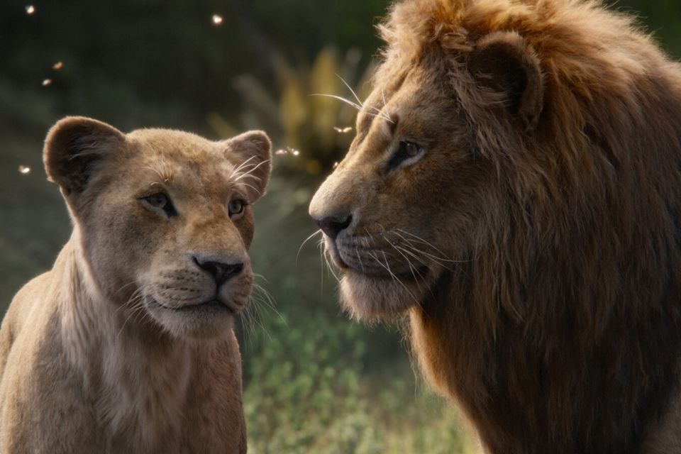 Nos cinemas: 10 melhores lançamentos de filmes em dezembro de 2024