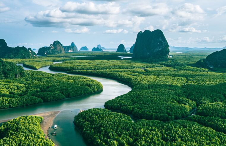 Soluções baseadas na natureza como resposta às mudanças climáticas