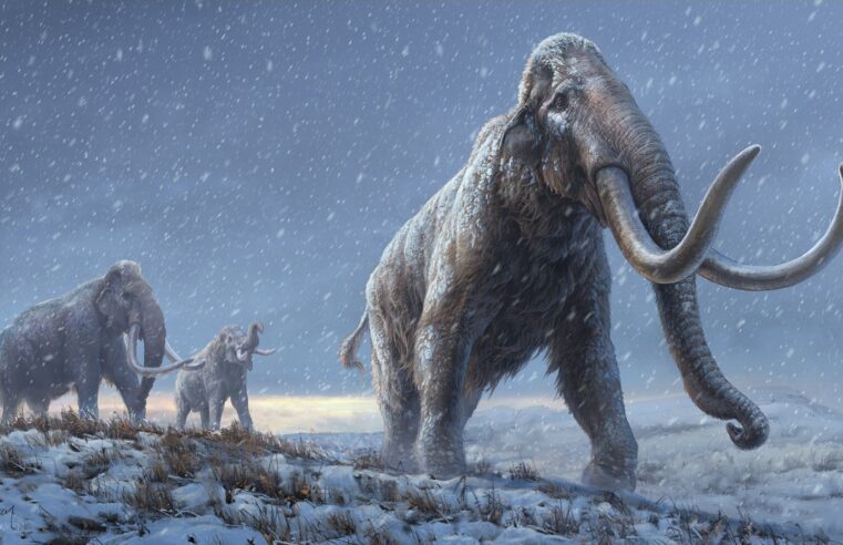 Clonar o passado? Conheça 6 animais extintos que os cientistas buscam reviver