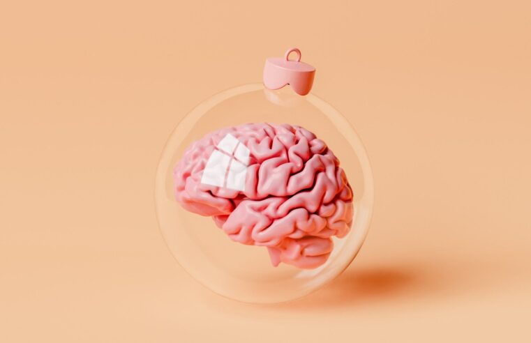 A neurociência e as festas de fim de ano