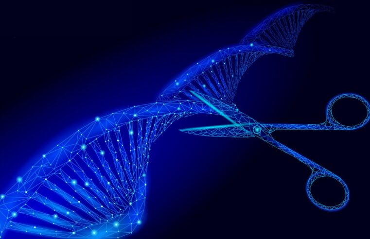 O que é CRISPR e quais são suas implicações para a humanidade?