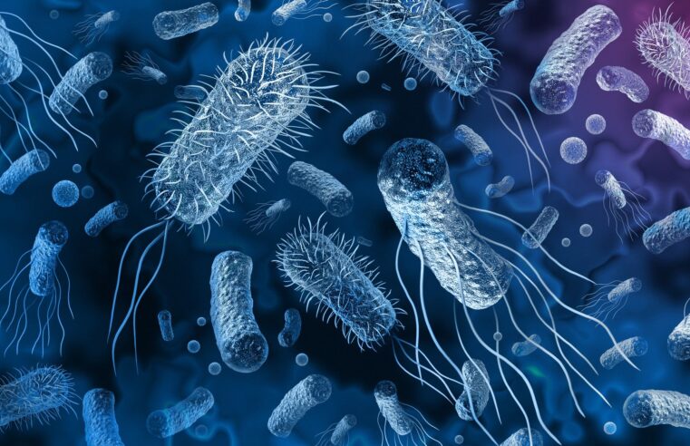 Superbactérias: uma ameaça silenciosa
