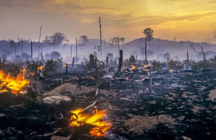 2024 foi um ano de alerta: o que aprendemos com os extremos climáticos?