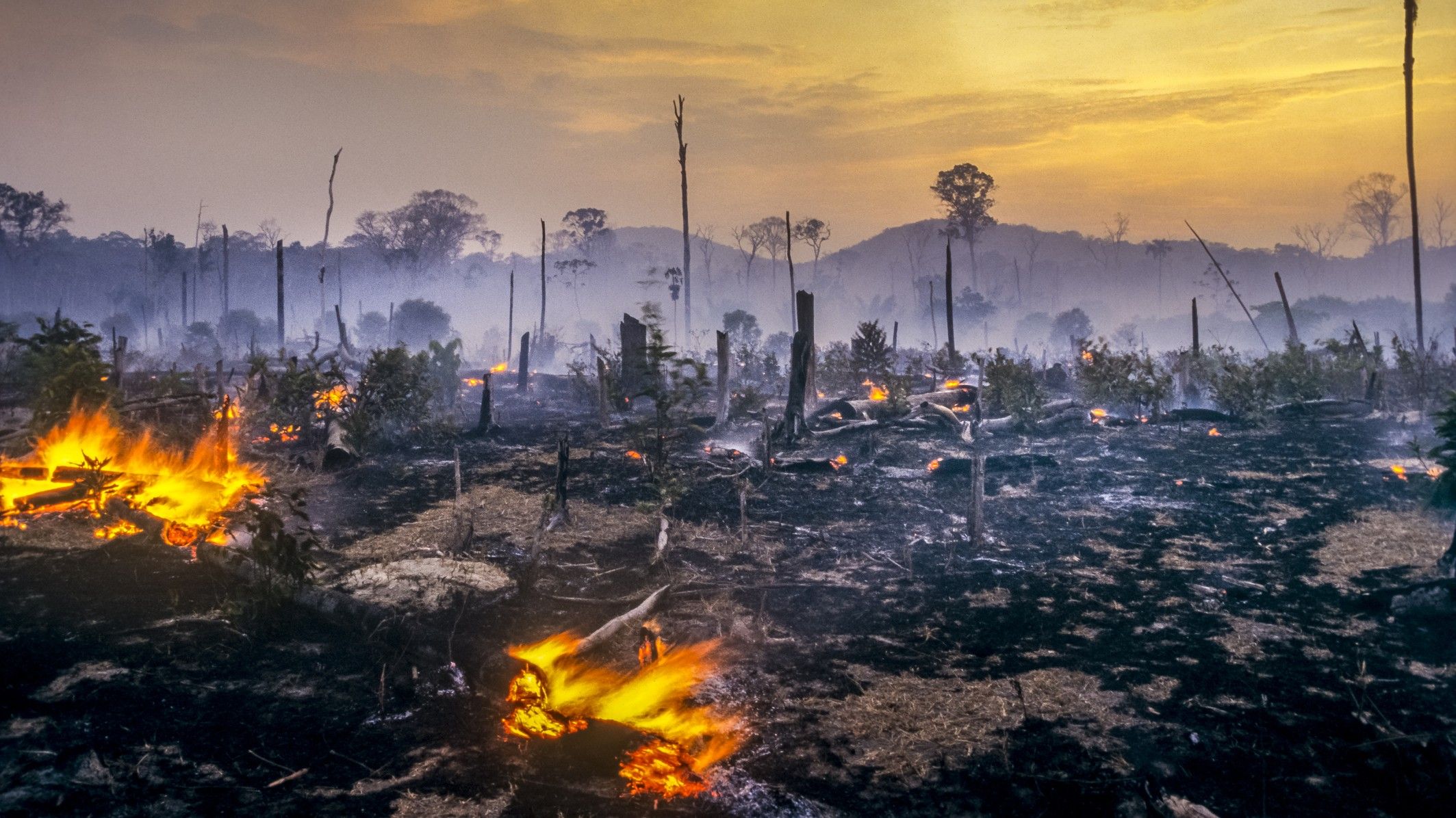 2024 foi um ano de alerta: o que aprendemos com os extremos climáticos?