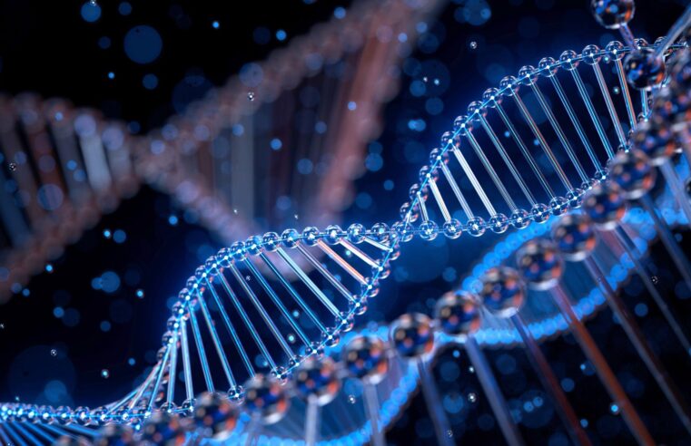 Qual a diferença do DNA e do RNA?