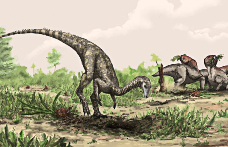 Primeiros dinossauros podem ter surgido na Amazônia, diz estudo