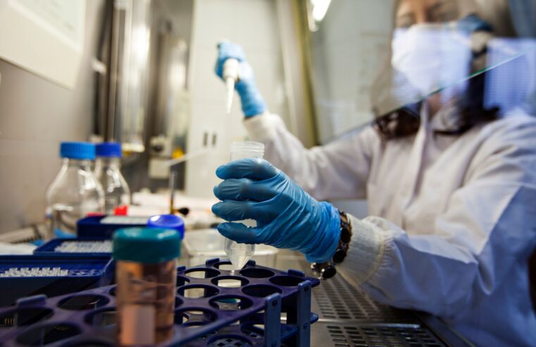 Células de gordura podem ser nova arma para combater o câncer, sugere estudo