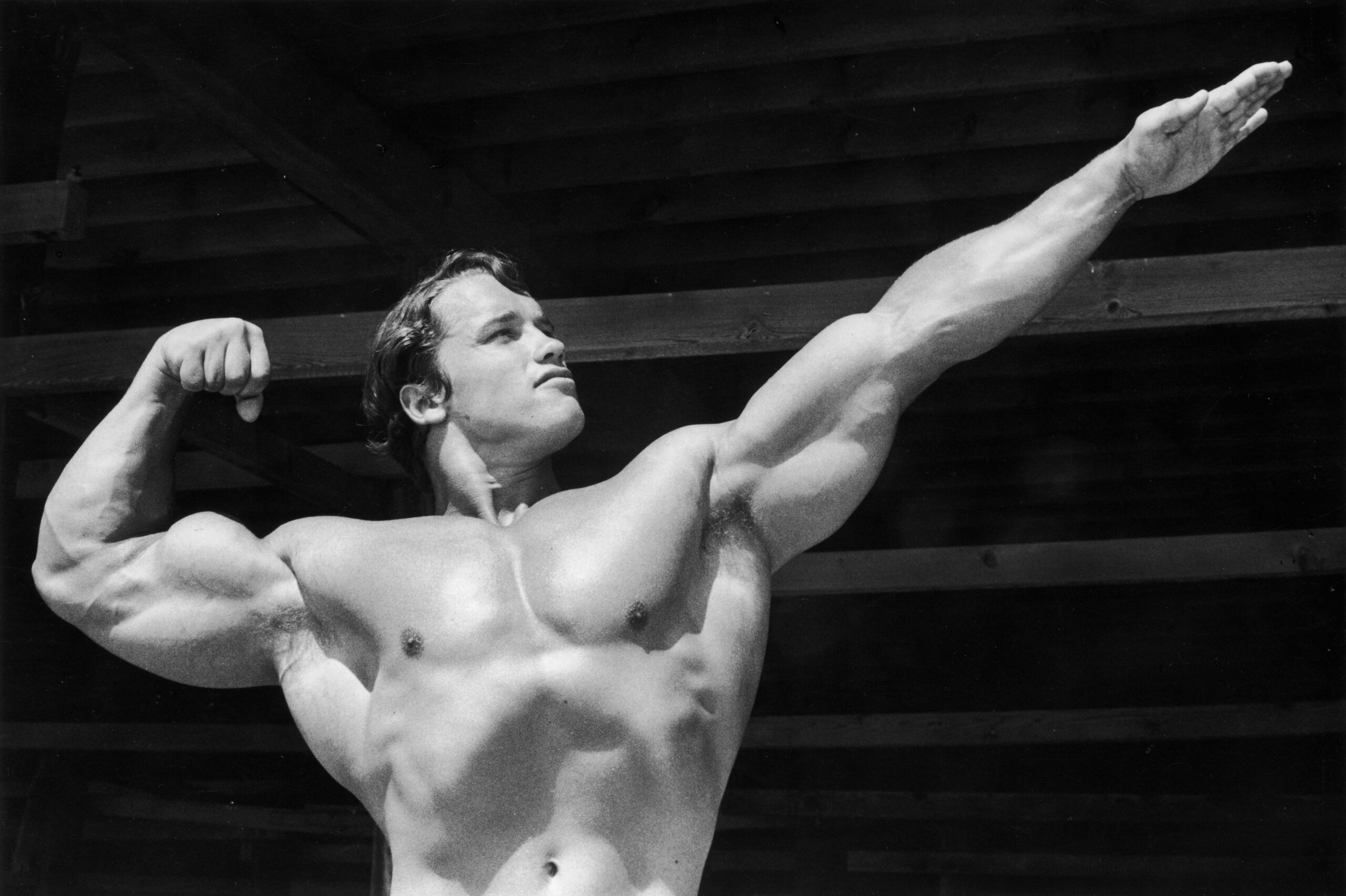 Descubra o segredo psicológico de Arnold Schwarzenegger para os treinos